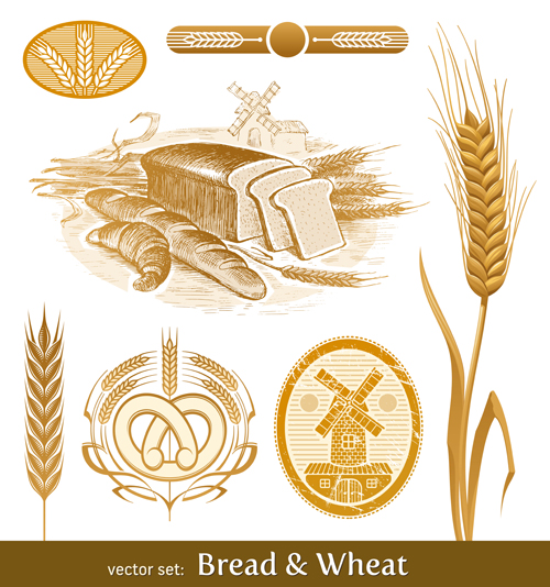 Bread with wheat vector 03