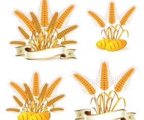 Bread with wheat vector 04