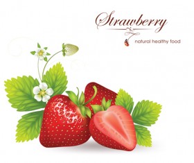 Fresh Fruits vector 04