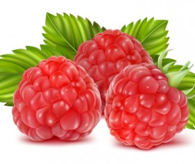Fresh Fruits vector 05
