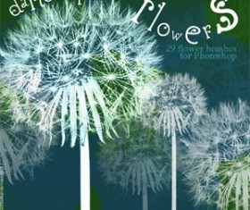 Dance of the flowers Photoshop Brushes