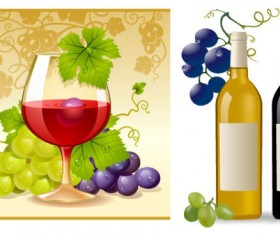 Grape and wine vector