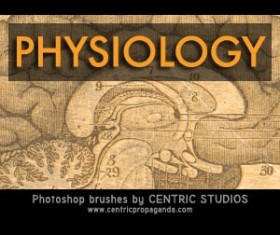 Physiology Photoshop Brushes