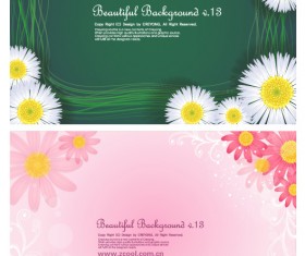 Lovely small chrysanthemum backgrounds