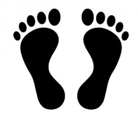 Cute Footprints vector