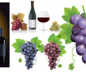 Grape and wine vector Graphic