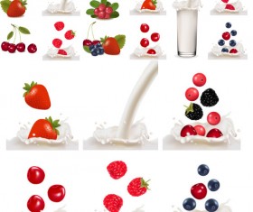 Fresh fruit vector