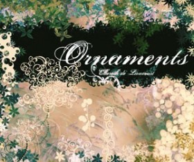 ORNAMENTS Photoshop Brushes