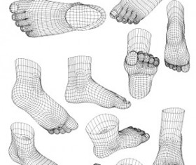 3D model of human foot style vector