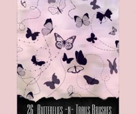 butterflies and trails Photoshop Brushes