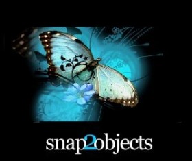 Butterflies Photoshop Brushes