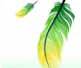 Feather color backgrounds vector set