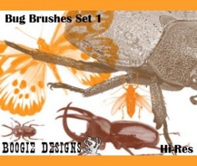HiRes Bug 1 Photoshop Brushes
