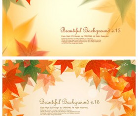 Maple leaf background design vector