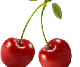 Fresh berry vector 01