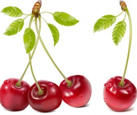 Fresh berry vector 04