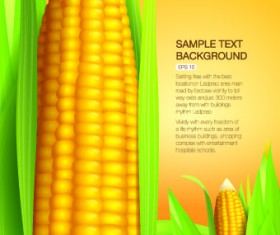 Vector Organic food backgorunds 02