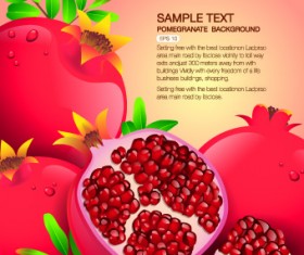 Vector Organic food backgorunds 05