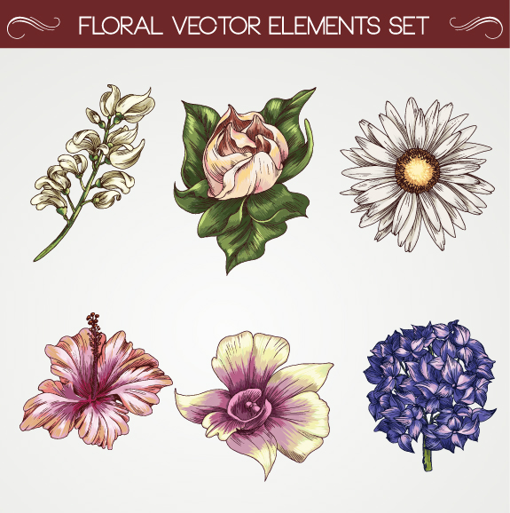 Download Set of Vintage flowers vector 01 free download