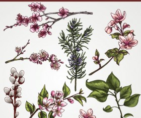 Set of Vintage flowers vector 03