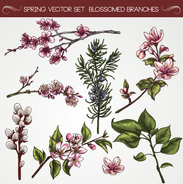Set of Vintage flowers vector 03 free download
