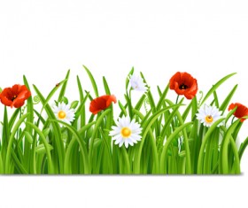 Plant and spring design vector 02