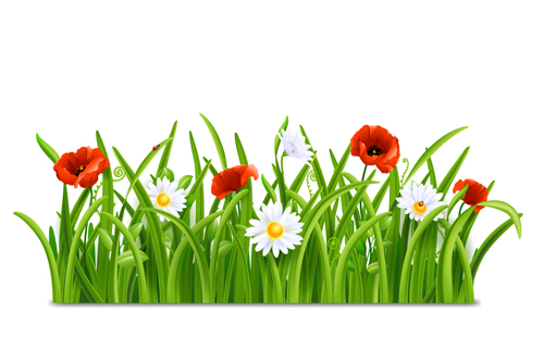 Plant and spring design vector 02