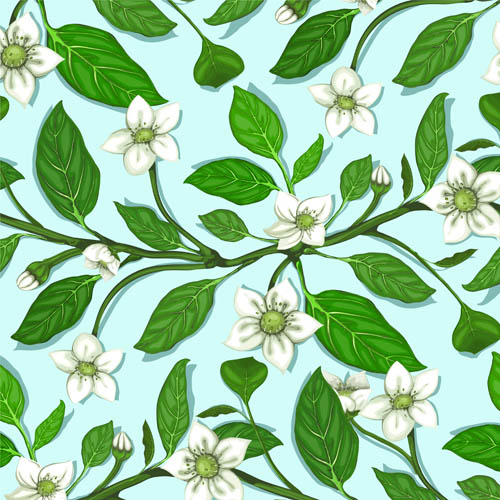 Plant and spring design vector 06