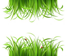 Plant and spring design vector 07