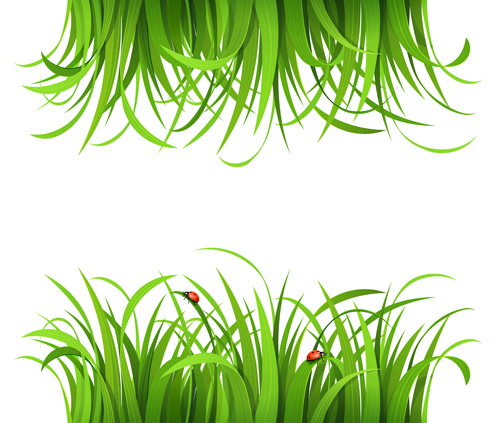 Plant and spring design vector 07