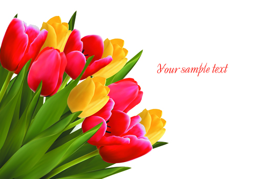 Vivid Tulips backgrounds vector 02