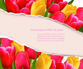 Vivid Tulips backgrounds vector 03