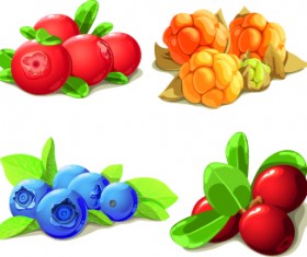 Vivid berry design vector