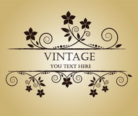 Exquisite decoration Border vector