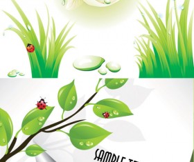 After the photo vector