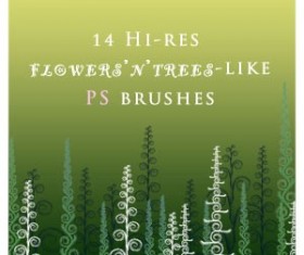 Flowers NtreesLike Photoshop Brushes