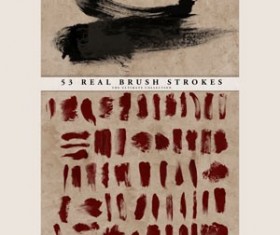 Real Brush Strokes Set Photoshop Brushes