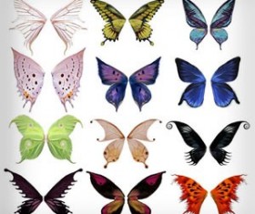 Wing Brush Set Photoshop Brushes