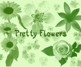 Pretty Flowers Photoshop Brushes