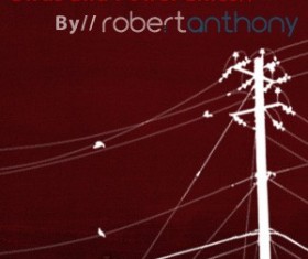 Birds and Power Lines Photoshop Brushes