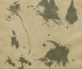 Splash Photoshop Brushes