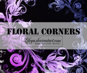 Floral Corners Photoshop Brushes