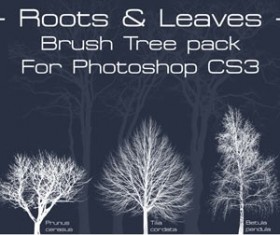 Tree Brushes Pack Photoshop Brushes