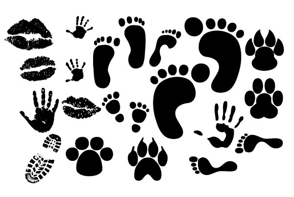 Hickey Footprints Handprint shoe Vector