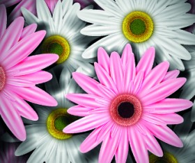 Vintage Flowers illustration vector 01