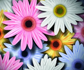 Vintage Flowers illustration vector 02