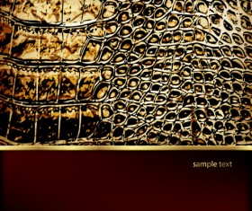 Vector Leather Backgrounds set 03