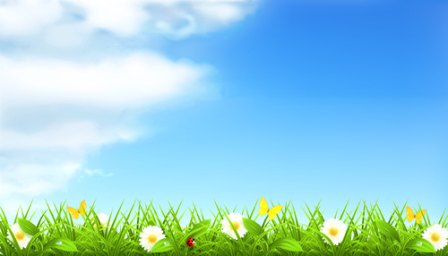 Summer With Flowers Backgrounds 01 Free Download