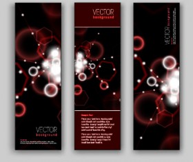 Shiny Vertical banner vector 02