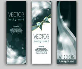 Shiny Vertical banner vector 05